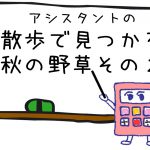 秋の野草