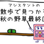 秋の野草