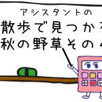 秋の野草